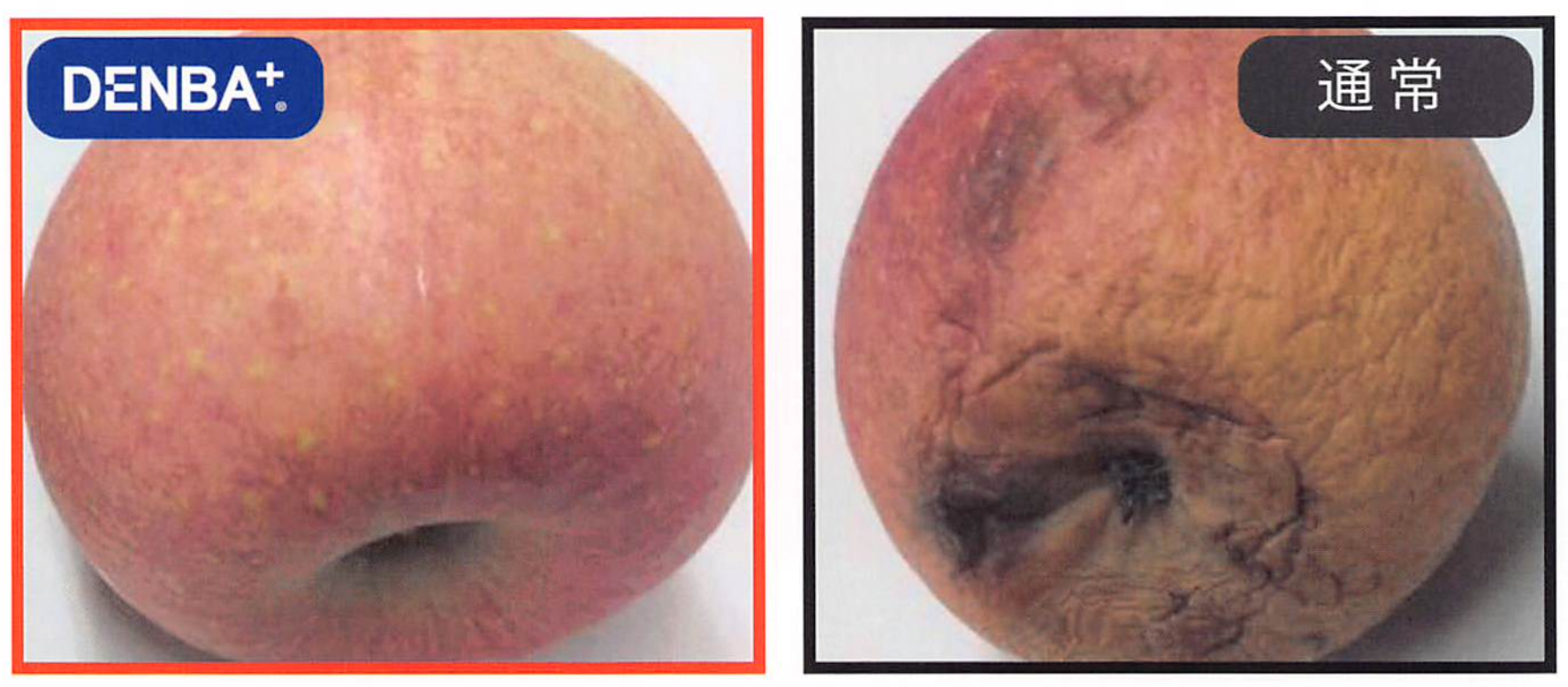 DENBA Health_鮮度保持_りんご