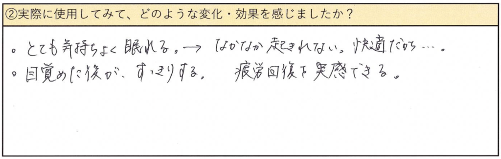 DENBA Health感想_効果